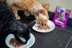 5 Razloga za boravak na polici s hranim 5 Razloga za boravak na polici s hranim